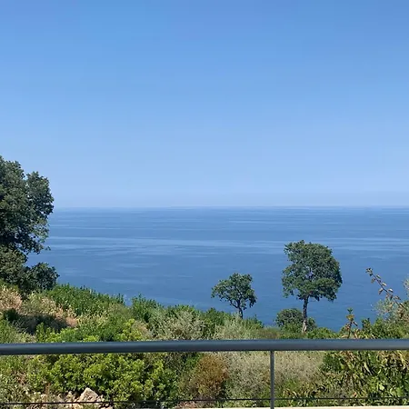 Nerea Villa *