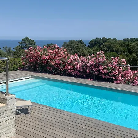 Nerea Villa *